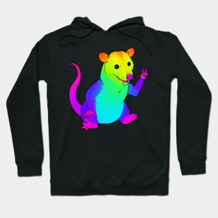 Rainbow Possum Hoodie